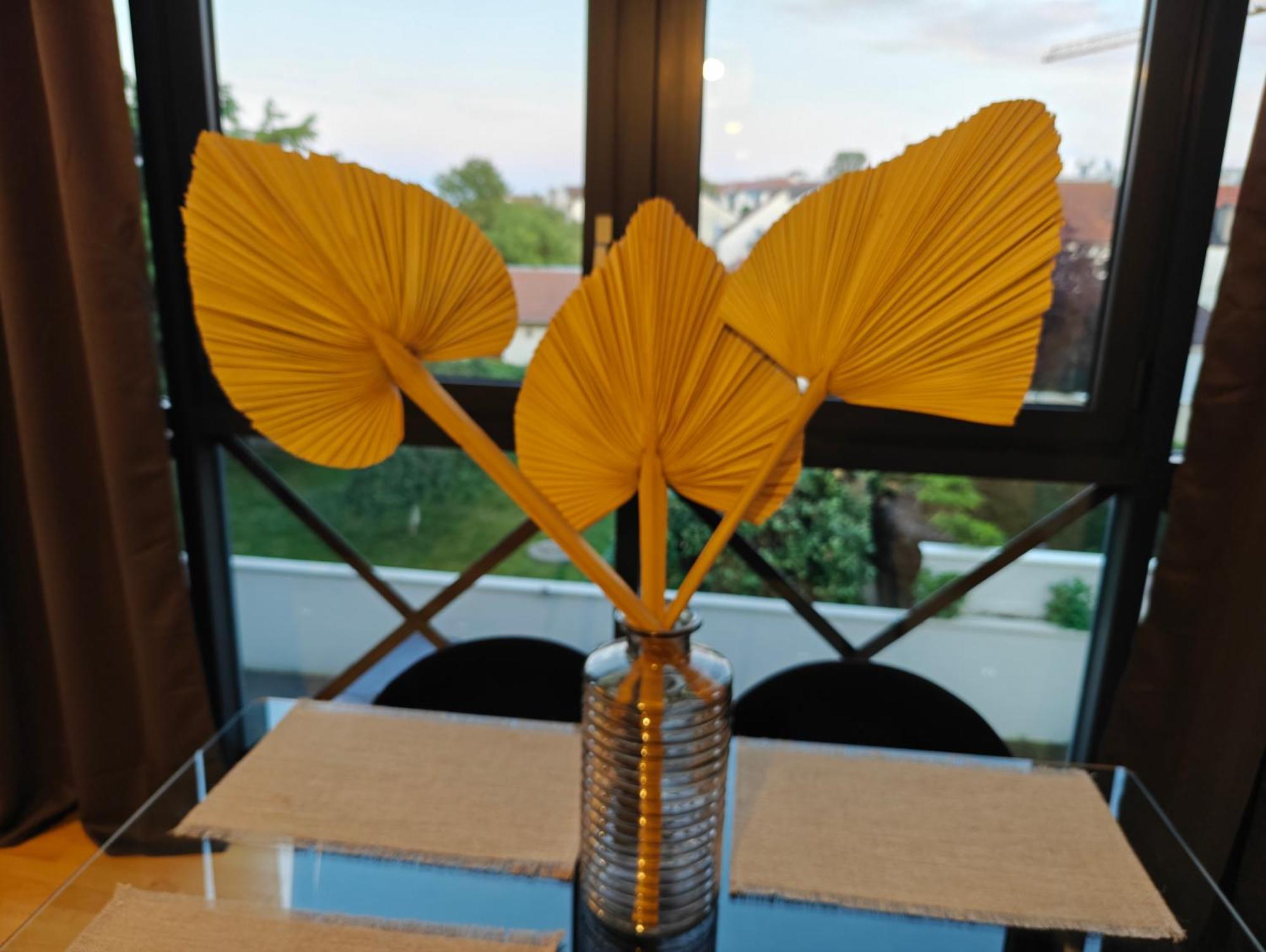 Apartament L'Epi D'Orge - Paris - Orly Épinay-sur-Orge Zewnętrze zdjęcie